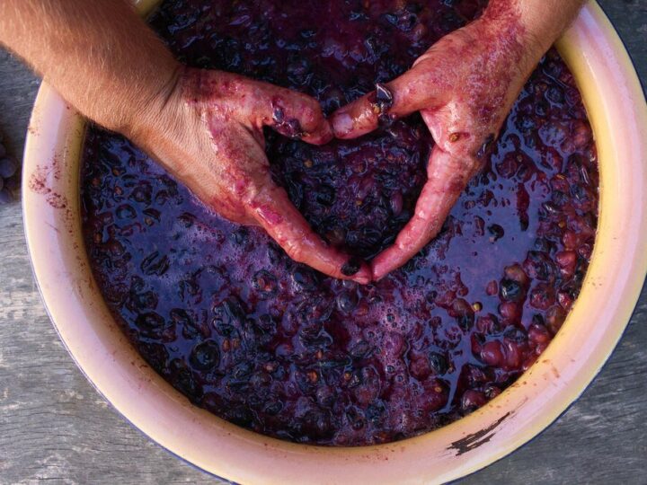 Jak zrobić wino z winogron krok po kroku – przepis na domowe wino